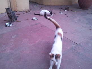 thumb_20121028_184833.jpg