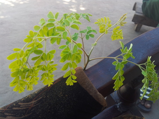 thumb_20121029_132434.jpg