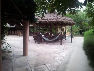 thumb_20121101_085110.jpg