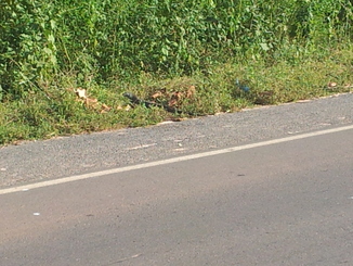 thumb_20121108_162637.jpg