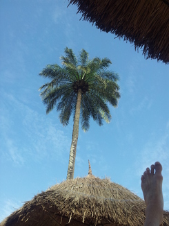 thumb_20121109_165502.jpg