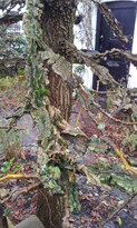 thumb_20121222_124803.jpg