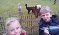 thumb_20121223_141327.jpg