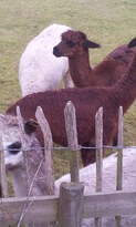 thumb_20121223_141540.jpg
