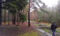 thumb_20121225_112808.jpg