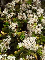 thumb_20130131_154510.jpg