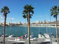 thumb_20130202_123556.jpg