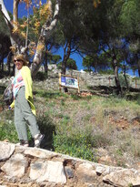 thumb_20130206_121443.jpg