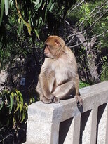 thumb_20130208_113412.jpg