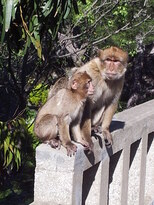 thumb_20130208_113436.jpg