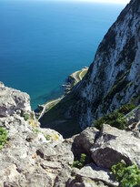 thumb_20130208_130522.jpg