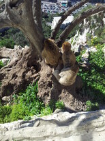 thumb_20130208_140432.jpg