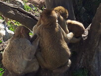 thumb_20130208_140632.jpg
