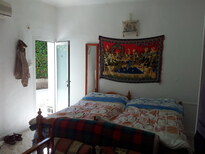 thumb_20130209_120804.jpg