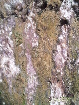 thumb_20130213_123624.jpg