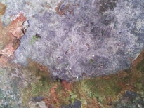 thumb_20130213_123751.jpg