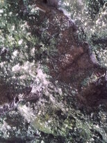 thumb_20130213_123829.jpg