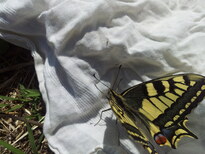 thumb_20130216_120646.jpg