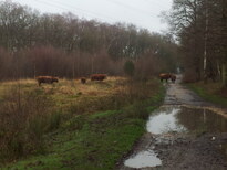 thumb_2013-01-09_11.16.04.jpg