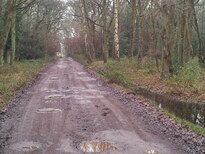 thumb_2013-01-09_11.17.30.jpg