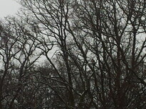 thumb_2013-01-23_10.04.06.jpg