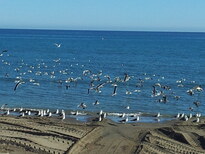 thumb_2013-01-29_13.46.30.jpg