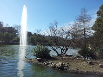 thumb_2013-01-30_12.43.26.jpg