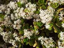 thumb_2013-01-31_15.45.10.jpg