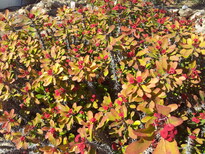 thumb_2013-02-06_13.03.07.jpg