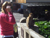 thumb_2013-02-08_11.35.24.jpg