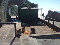 thumb_2013-02-08_12.59.54.jpg