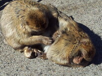 thumb_2013-02-08_13.09.17.jpg
