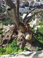 thumb_2013-02-08_14.04.20.jpg