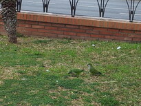 thumb_2013-02-11_11.20.28.jpg