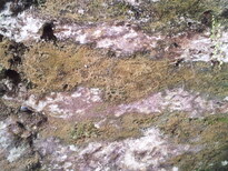 thumb_2013-02-13_12.36.23.jpg