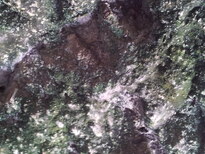 thumb_2013-02-13_12.38.29.jpg