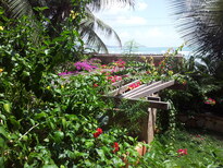 thumb_brasil.croatia_004.jpg