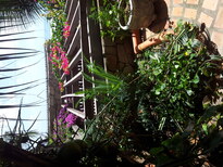 thumb_brasil.croatia_005.jpg