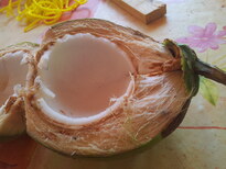 thumb_brasil.croatia_037.jpg