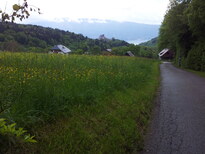 thumb_brasil.croatia_082.jpg