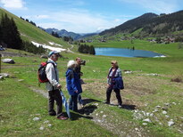 thumb_brasil.croatia_099.jpg