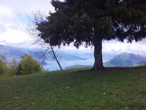 thumb_brasil.croatia_145.jpg