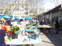 thumb_croatia_016.jpg