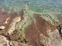 thumb_croatia_028.jpg
