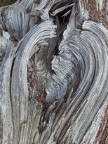 thumb_croatia_069.jpg