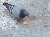 thumb_croatia_104.jpg