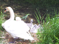 thumb_20130609_115322.jpg
