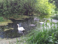 thumb_20130609_162149.jpg