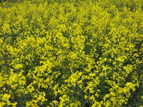 thumb_20130610_130222.jpg