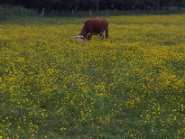 thumb_20130612_134537.jpg